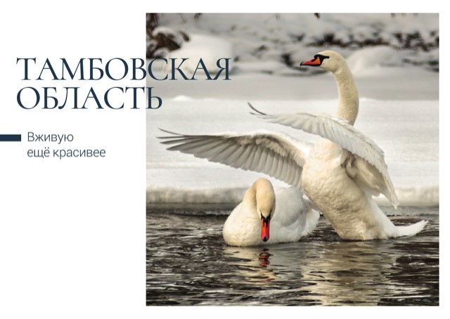 Почта России выпустила новые открытки с видами Ростова